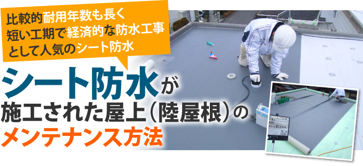 比較的耐用年数も長く短い工期で経済的な防水工事として人気のシート防水