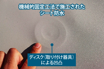 機械的固定工法で施工されたシート防水→ディスク（取り付け器具）による凹凸