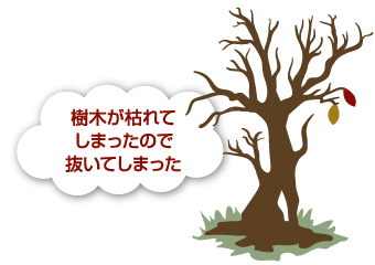 養生によって樹木が枯れてしまうケース