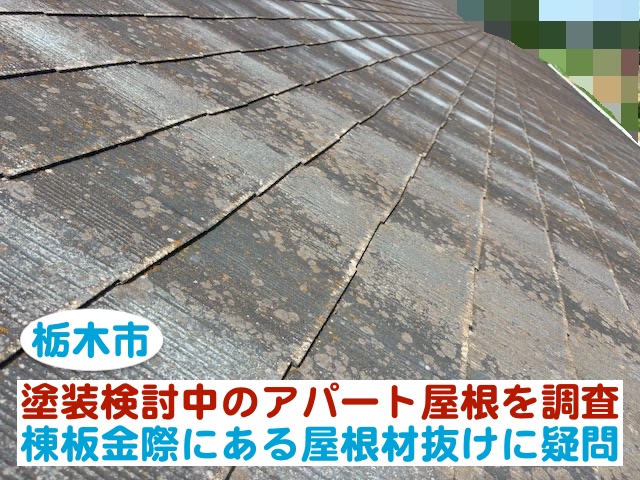 栃木市　塗装検討中のアパート屋根を調査｜棟板金際の屋根材抜けに疑問