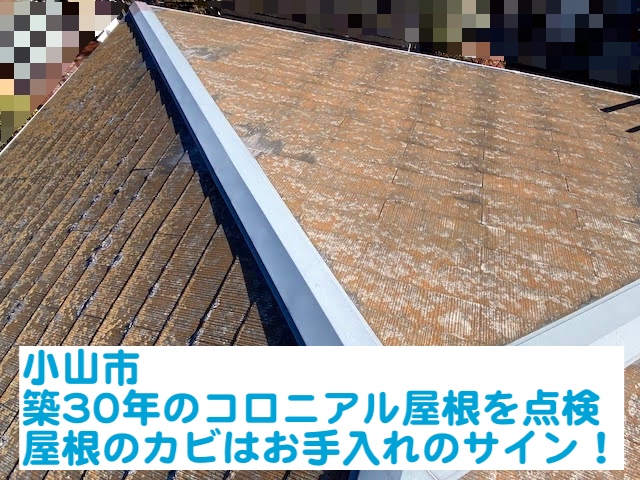 小山市　築30年のコロニアル屋根点検！屋根のカビはお手入れサイン