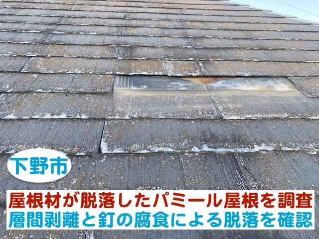 下野市　パミール屋根を調査｜層間剥離と釘の腐食による脱落を確認