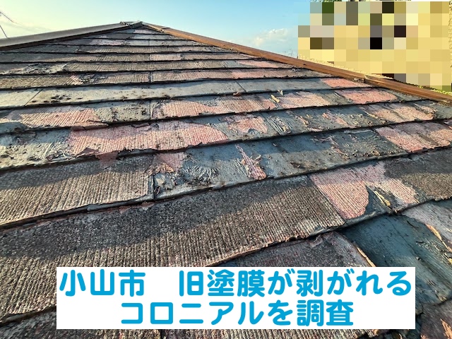小山市 この屋根は塗れる？旧塗膜が剥がれるコロニアル屋根を調査