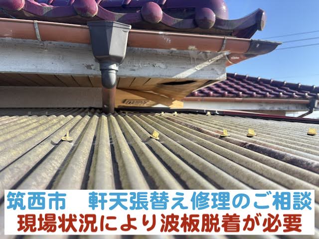 筑西市　軒天張替え修理のご相談｜現場状況により波板脱着が必要なケース