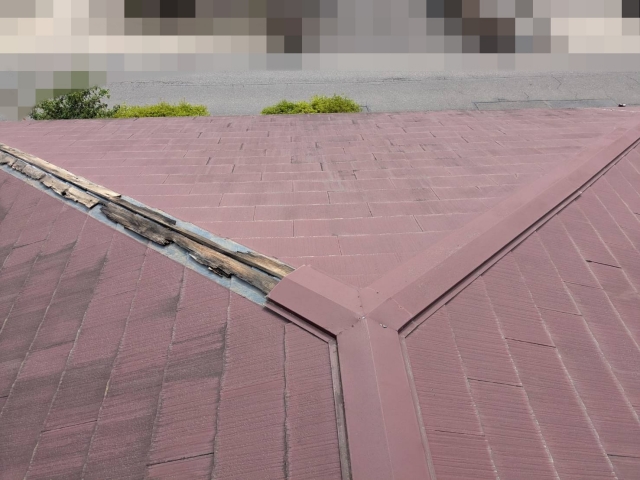 小山市の強風で棟板金が飛散した棟部は、木製貫板が腐ってボロボロ