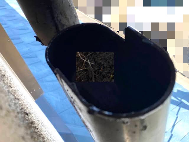 真岡市　雨樋詰まりの原因はＰマス　施工前の写真
