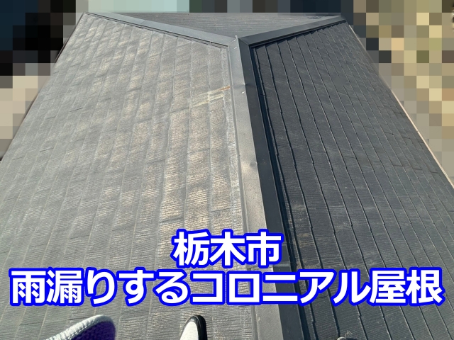 栃木市の築36年のコロニアル屋根の雨漏り調査
