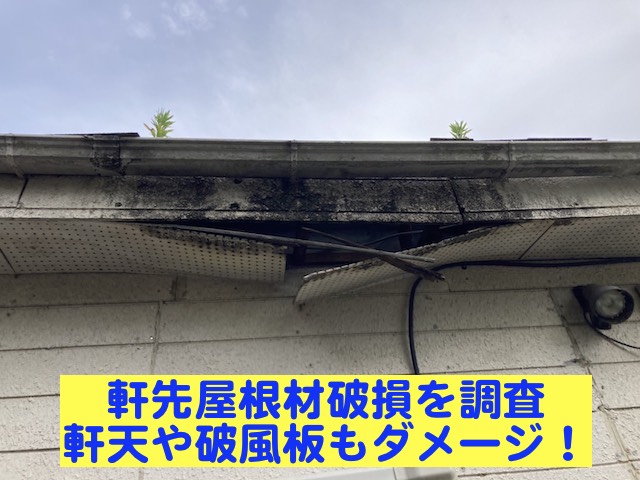 小山市　軒先屋根材の破損で軒天や破風板もダメージ！防水紙の劣化も確認