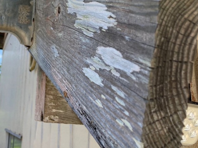 傷んだ木製破風板のアップ