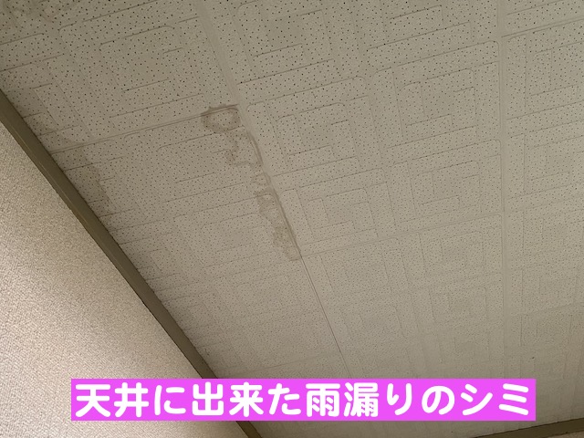 小山市　雨漏りするスレート屋根を調査　天井の雨シミの写真