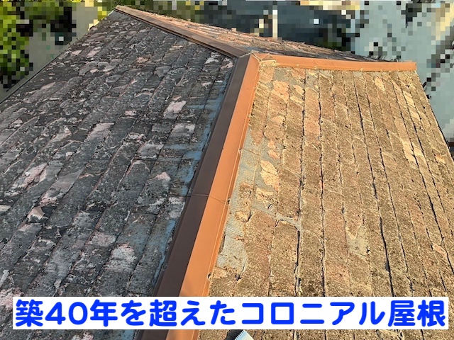 小山市　旧塗膜が剥がれるコロニアル屋根調査　調査した屋根の写真