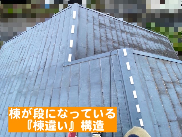下野市　築30年の屋根を調査　地上から見たスレート屋根の写真