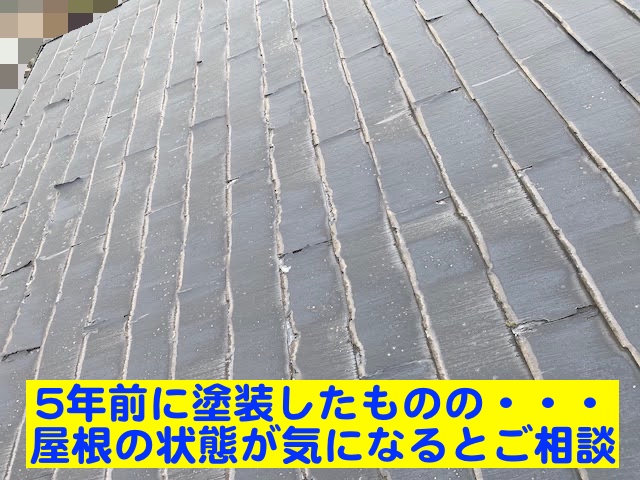 小山市　数年前に塗装した化粧スレート　パミールの現場調査の写真