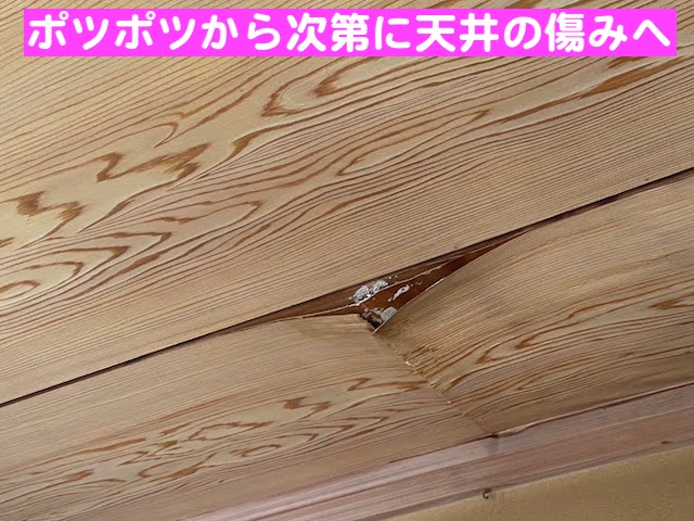 真岡市　瓦屋根の雨漏りを調査　天井の雨漏りの写真