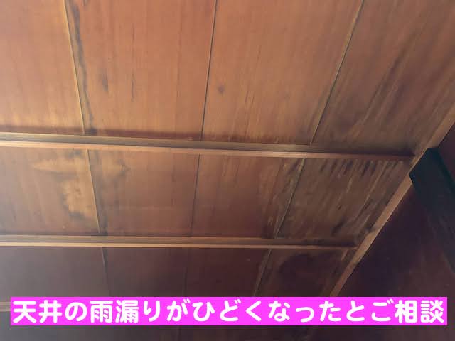 真岡市　築50年の横葺きトタン屋根を雨漏り調査　天井の雨漏りの写真