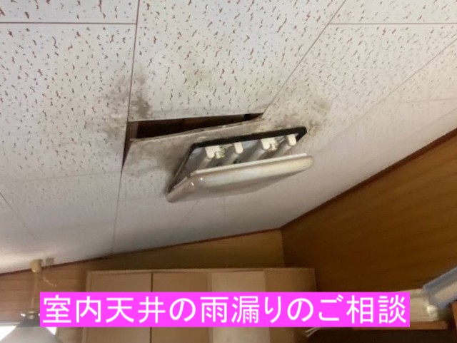 下野市で室内天井の雨漏りを調査