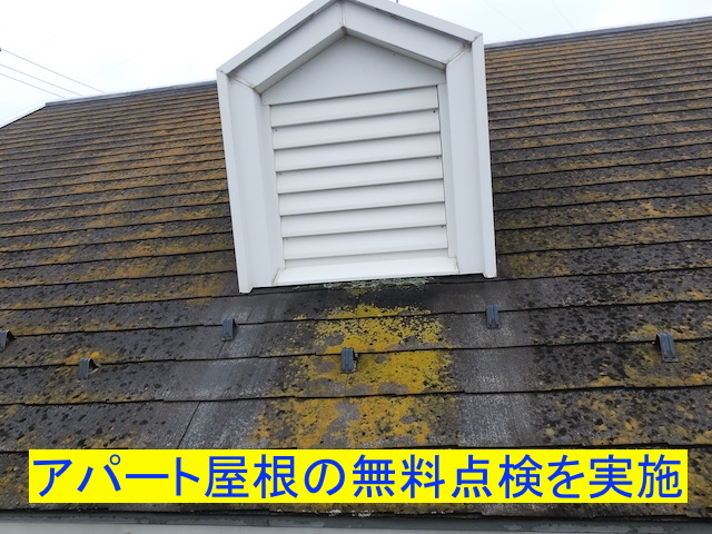 小山市　アパート屋根の無料点検！カビの発生や塩ビ鋼板の被覆剥がれも確認
