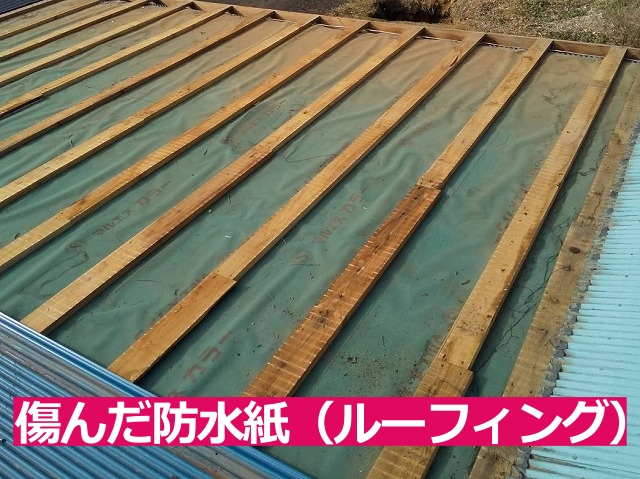 傷んだ防水紙(ルーフィング)