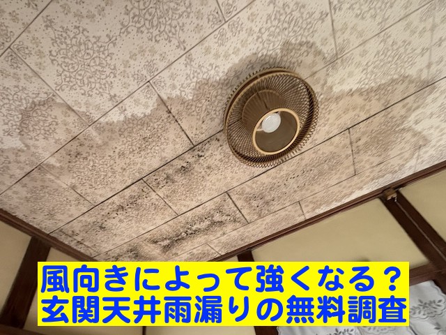 結城市で風向きによって大量に漏れる玄関天井の雨漏りを調査