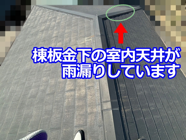 棟板金の下にあたる部屋の天井が雨漏りしています