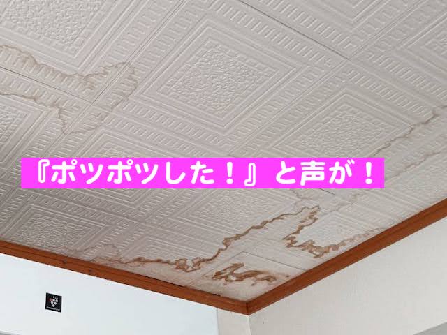 真岡市　散水調査で雨漏り原因を特定　雨漏りのシミの写真