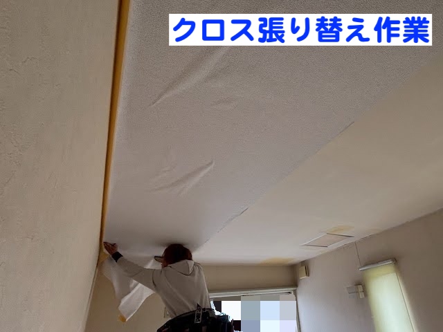 古河市　雨漏り修理後に天井点検口を設置　クロス張り替え作業の写真