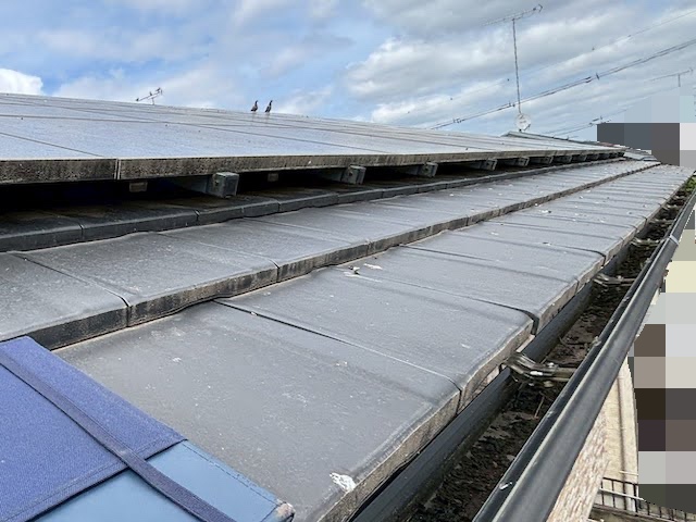 真岡市　太陽光パネルの鳥の侵入防止対策　施工前の写真