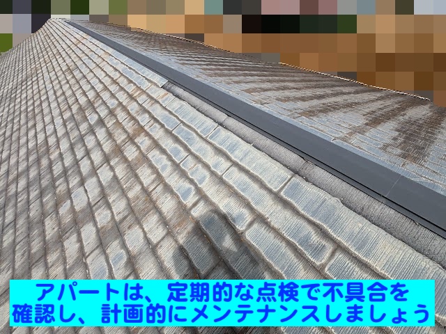 栃木市　塗装検討中のアパート屋根調査　現場調査の写真