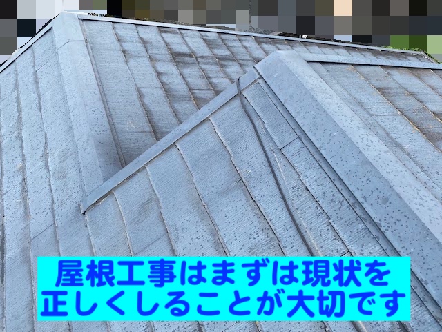 下野市　築30年の屋根を調査　カビが繁茂し棟違い部の写真