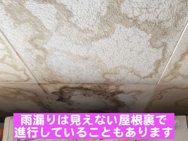 小山市　屋根勾配と雨漏りリスクの関係性　天井の雨漏りのシミの写真