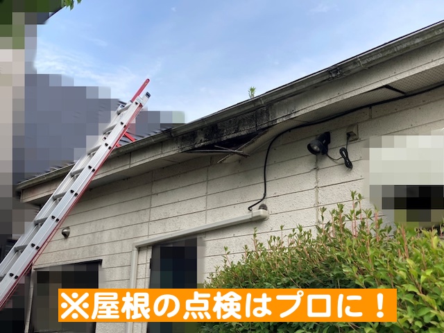 転落の危険がある屋根調査は点検のプロに任せる
