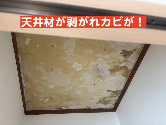 栃木市　強風によりアスファルトシングル飛散　天井雨漏りの写真