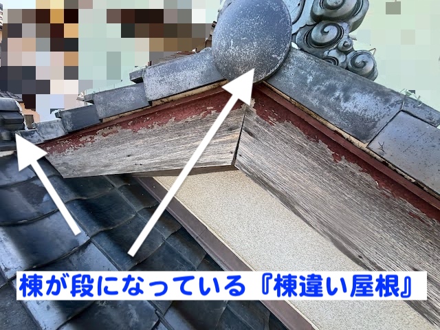 結城市　軒天の穴あき破損を調査　調査した棟違い屋根の写真