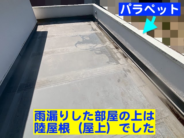 古河市　雨漏り散水調査　屋上の陸屋根とパラペットの写真