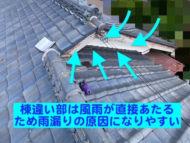 真岡市　瓦屋根を葺き直して雨漏り修理　施工範囲の写真