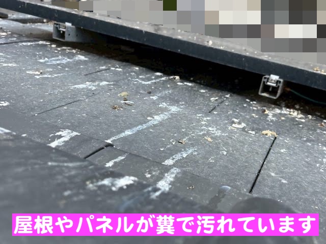 真岡市　太陽光パネルの鳥の侵入防止対策　糞で汚れた屋根の写真