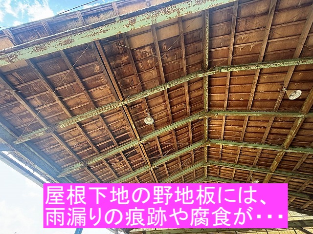 筑西市 作業場のセメント瓦屋根葺き替え相談!野地板まで腐食が進行