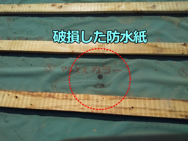 破損した防水紙