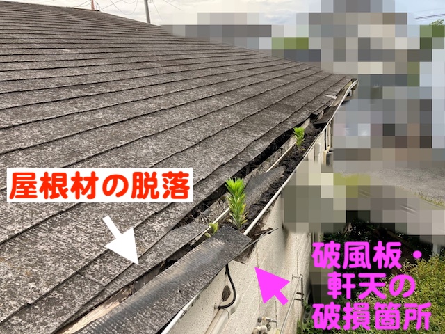 屋根材が脱落し破風板や軒天が破損