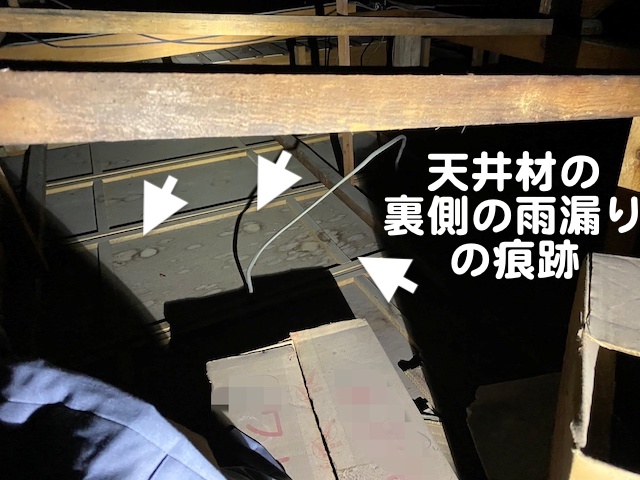 屋根裏の調査で見つかった天井材の裏側の雨漏り跡
