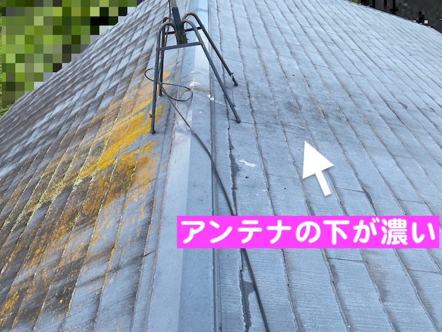 下野市　築30年の屋根を調査　地上から見たスレート屋根の写真