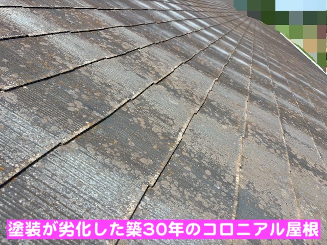 栃木市　塗装検討中のアパート屋根調査　塗装が劣化したコロニアル屋根の写真