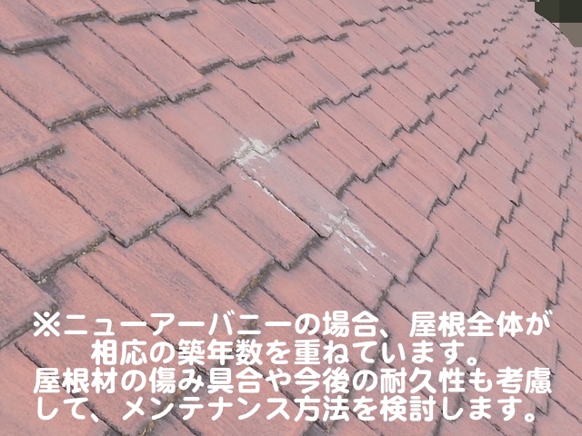 下野市　ニューアーバニー屋根を調査　屋根材の特徴解説用の写真