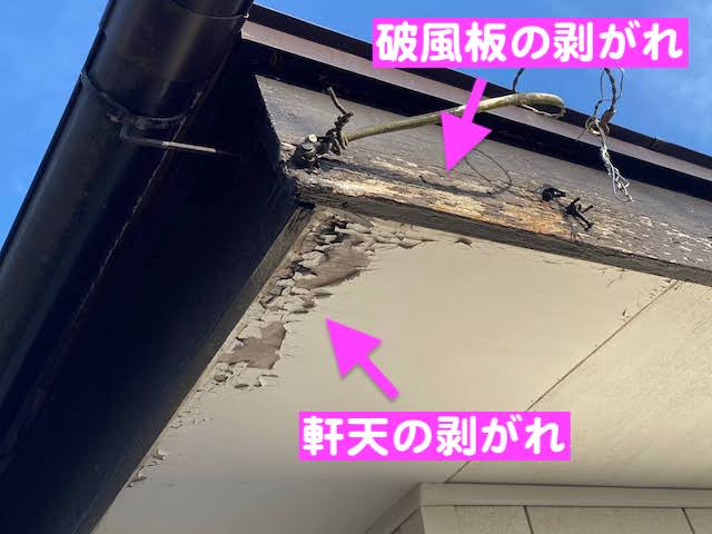 下野市　雨樋・軒天・破風板の傷み　軒天と破風板の塗装の剥がれの写真