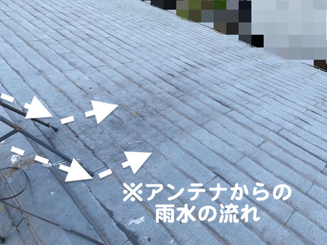 下野市　築30年の屋根を調査　カビが繁茂したスレート屋根の写真