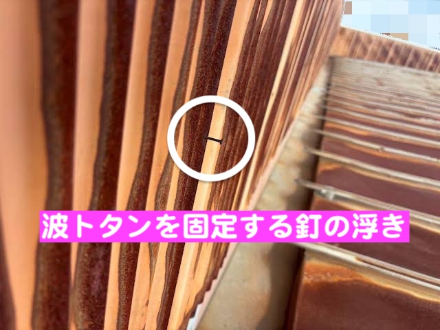 小山市　築35年のアパート屋根を調査　トタン外壁の釘抜けの写真