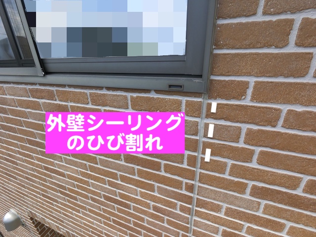結城市　足場を活用した天窓修理・シーリング補修　劣化したシーリングの写真