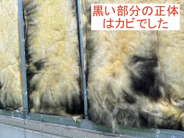 結城市　破損した浴室面の外壁を剥がすと断熱材のカビ！急きょ交換対応