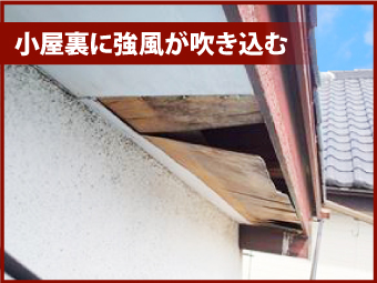 軒天の剥がれによる風雨の入り込みの解説写真