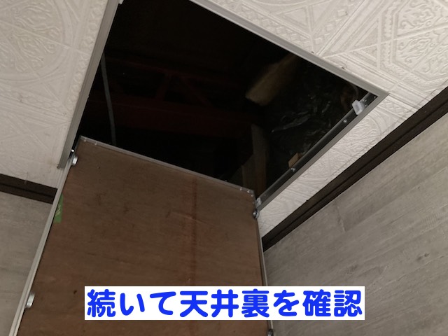 天井裏を調査できる点検口から内部を確認